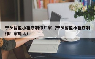 四川宁乡智能小程序制作厂家（宁乡智能小程序制作厂家电话）