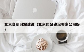 四川北京自制网站建设（北京网站建设哪家公司好）