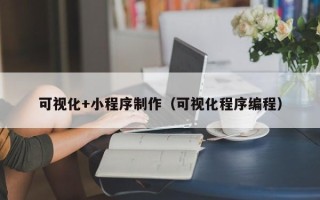 四川可视化+小程序制作（可视化程序编程）